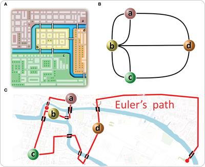 From Isles of Königsberg to Islets of Langerhans: Examining the Function of the Endocrine Pancreas Through Network Science